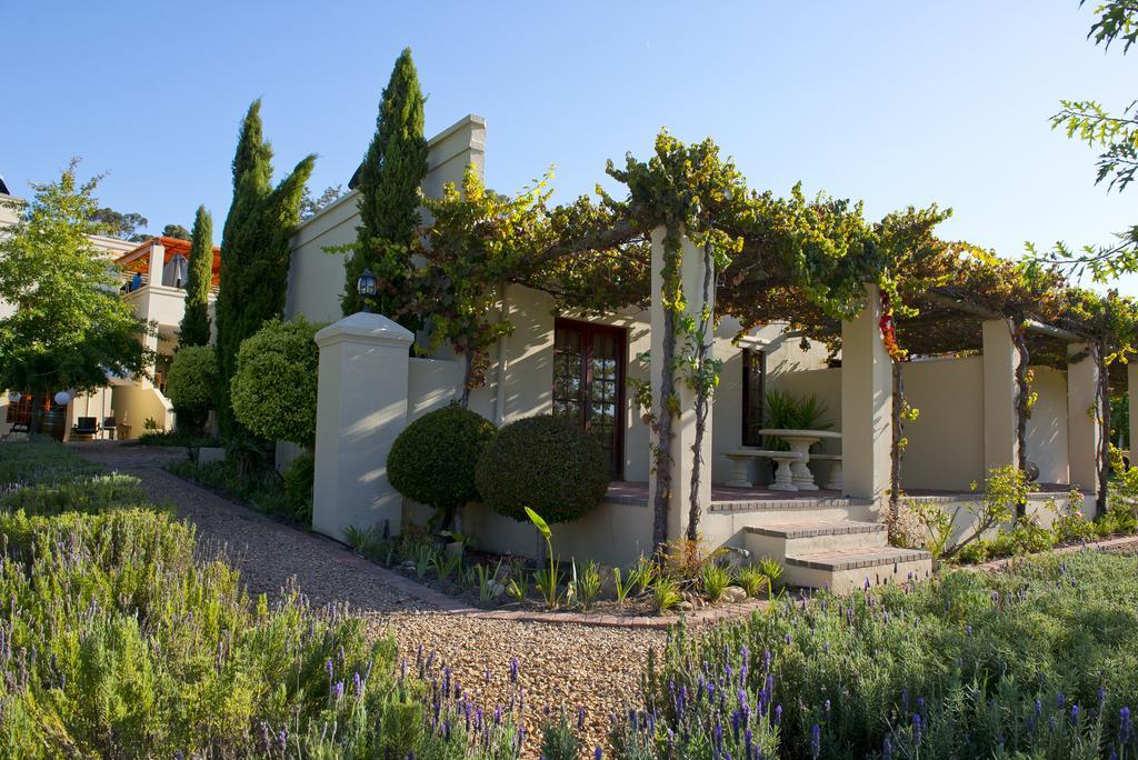 Cultivar Boutique * Stellenbosch